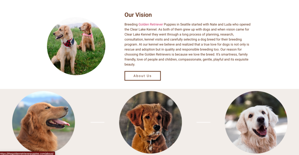 Clear Lake Kennel Website Design in the Seattle Area